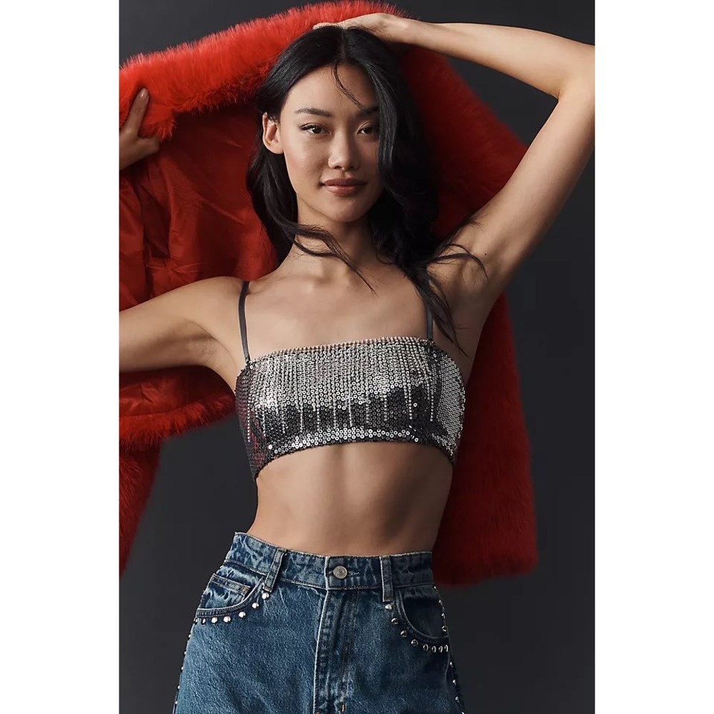 Anthropologie NWT Silver Sequin‎ Bralette Top Large Rhinestone Fringe Bustier